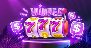 dbbet login